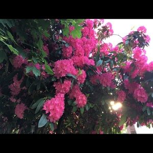 Meet your Posher, Jesse